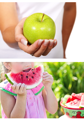 Programa de Nutriçao